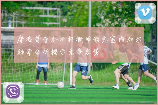 摩洛哥夺非洲杯概率领先塞内加尔赔率分析揭示竞争态势