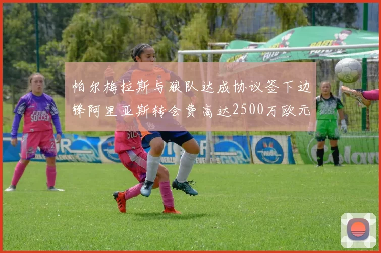 帕尔梅拉斯与狼队达成协议签下边锋阿里亚斯转会费高达2500万欧元